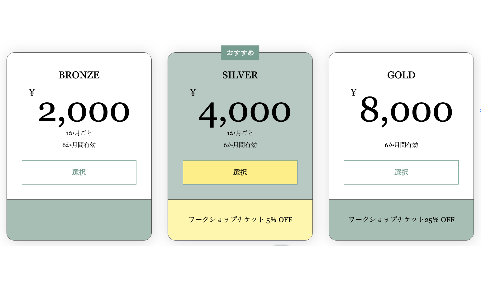 カスタムカラースが適用されたライブサイトの販売プランページ。