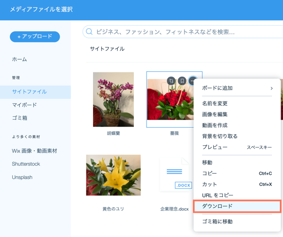 メディアマネージャーの「サイトファイル」タブからファイルをダウンロードしているスクリーンショット。