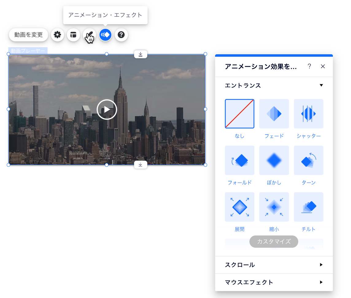 シングル動画プレーヤーでアニメーションオプションが開いています。
