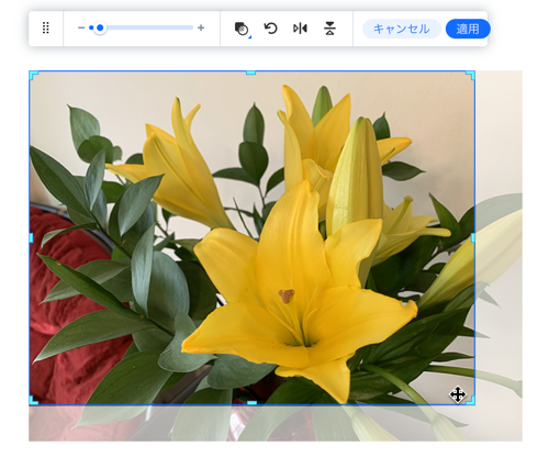 画像の端にハンドルをドラッグしている GIF。