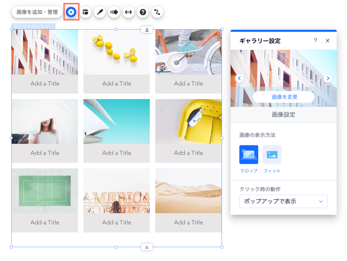 メーソンリーギャラリーのレイアウトパネル。タイトルのみ表示させるオプションが選択されています。