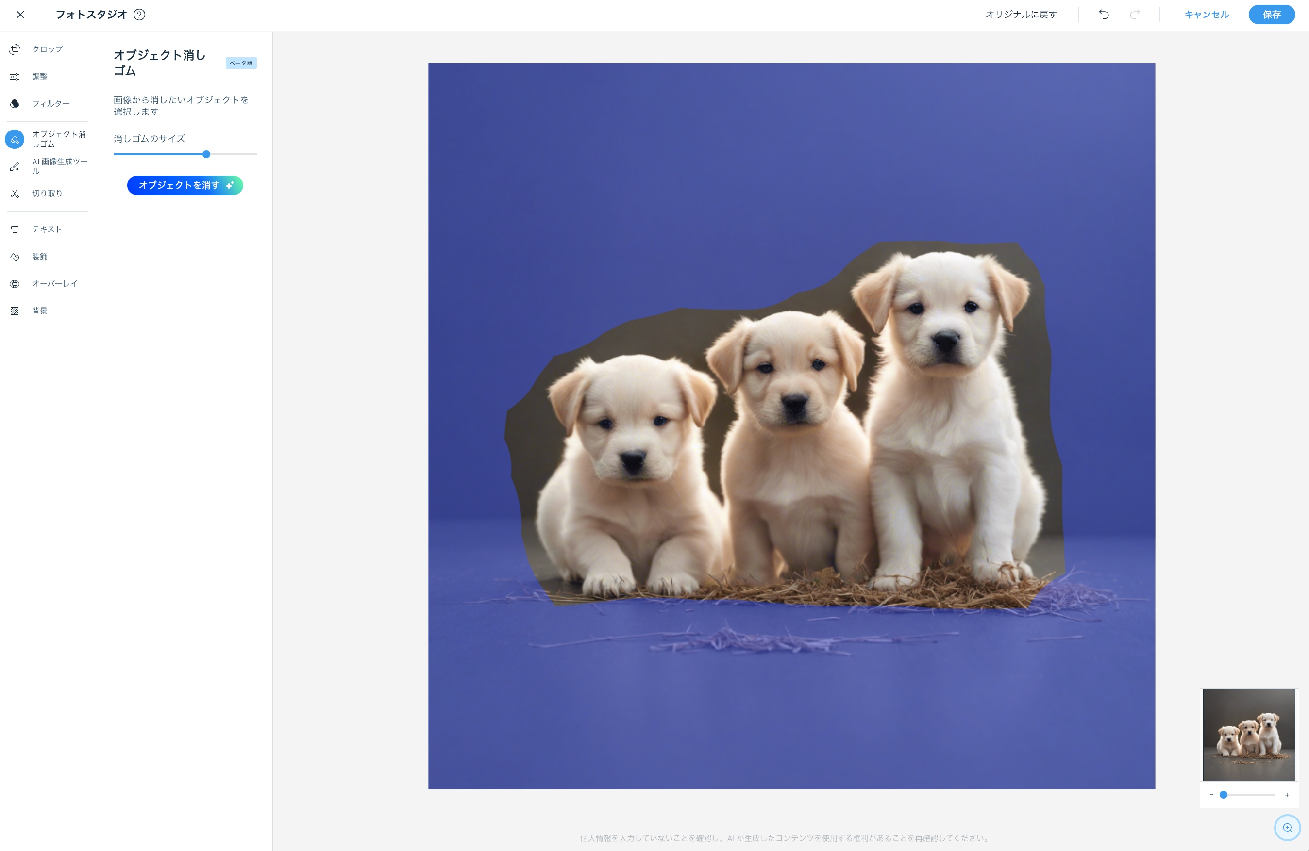 Wix フォトスタジオを使用して、子犬の画像の背景を切り取った様子を示したスクリーンショット。