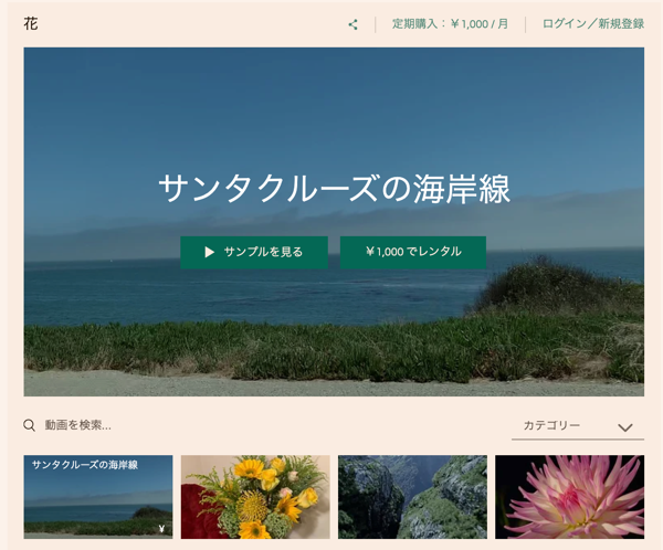 動画チャンネルが表示されている様子を示したスクリーンショット。