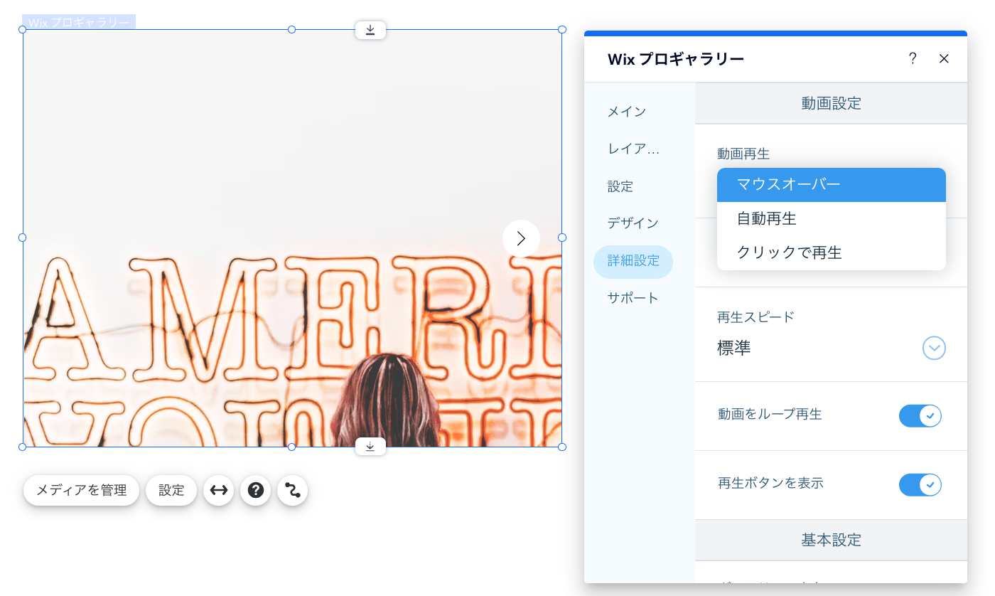 Wix プロギャラリーの詳細設定タブのスクリーンショット