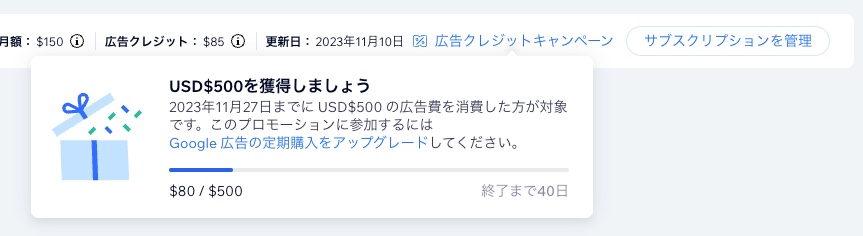 Google 広告アカウント内の Google 広告クレジットキャンペーンのスクリーンショット。