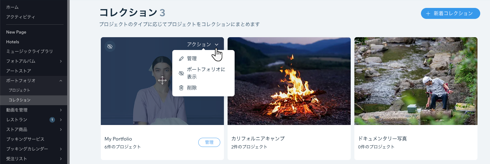 コレクションで利用可能な「その他のアクション」オプションを示したスクリーンショット。