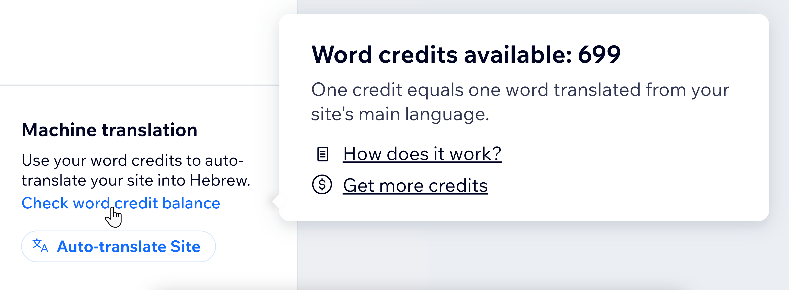 A screenshot of the word credit options.