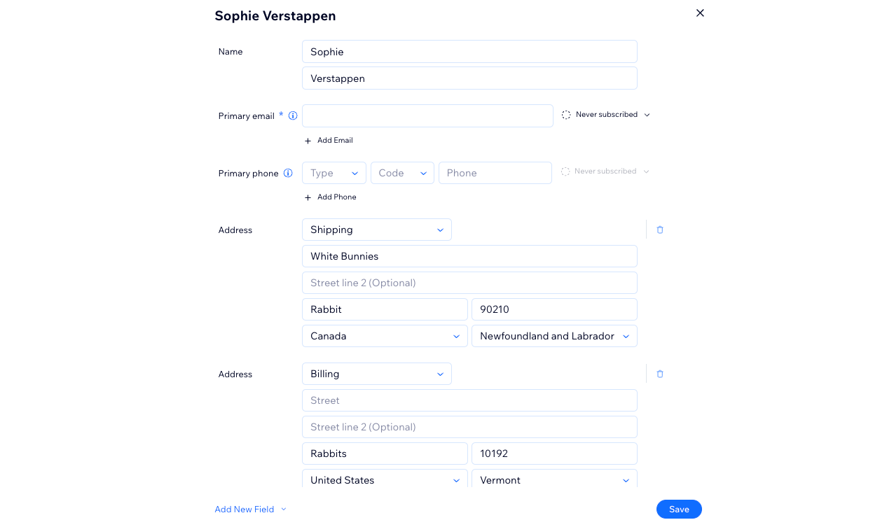 Uma captura de tela do painel de informações do cliente no painel de controle Wix