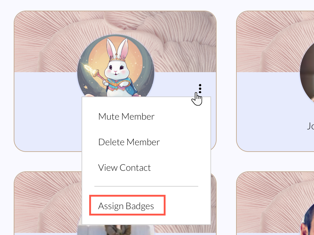 A screenshot from a Wix live site showing badges selection