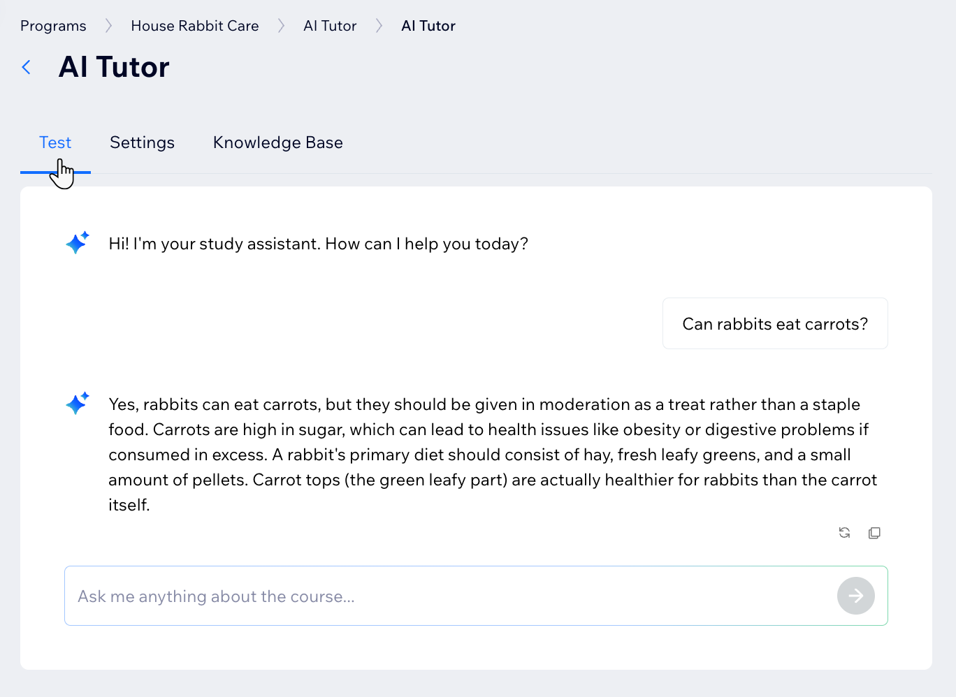 Een screenshot van de AI Leerhulp in het Wix Online programma's-dashboard