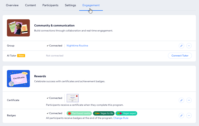 A screenshot of the engagement tab in online programs