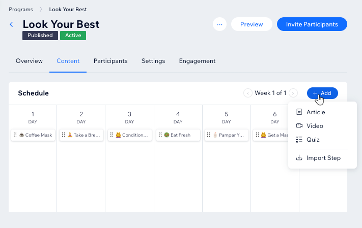 A screenshot of the Content panel of a Wix Online Program