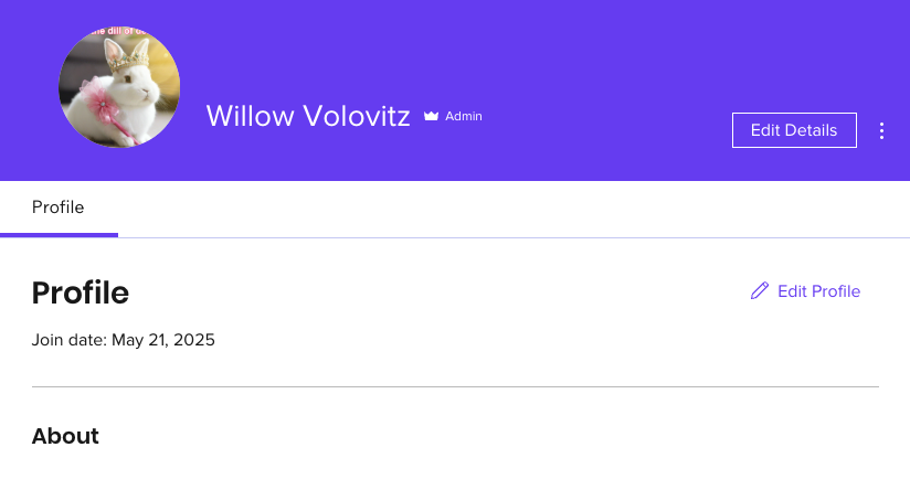 Captura de pantalla de las páginas de miembros en el Área personal de Wix.