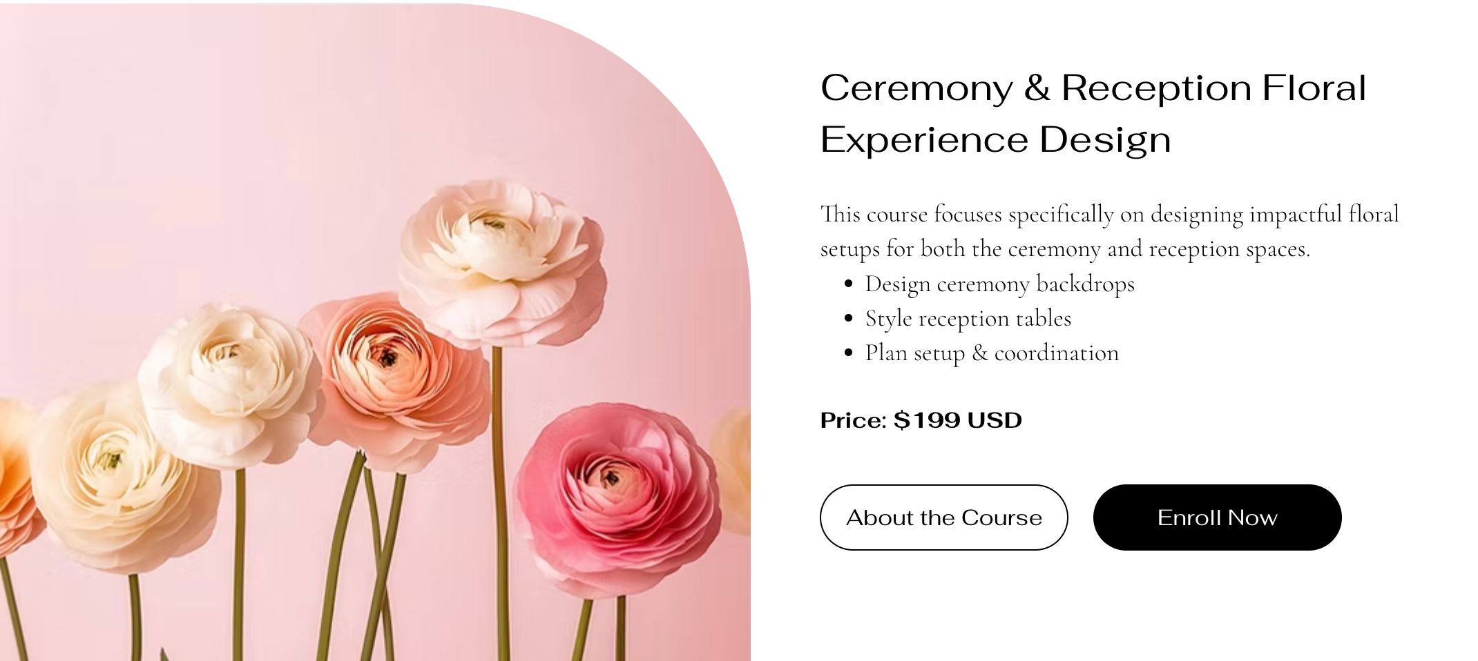 A custom landing page for online programs in a Wix site