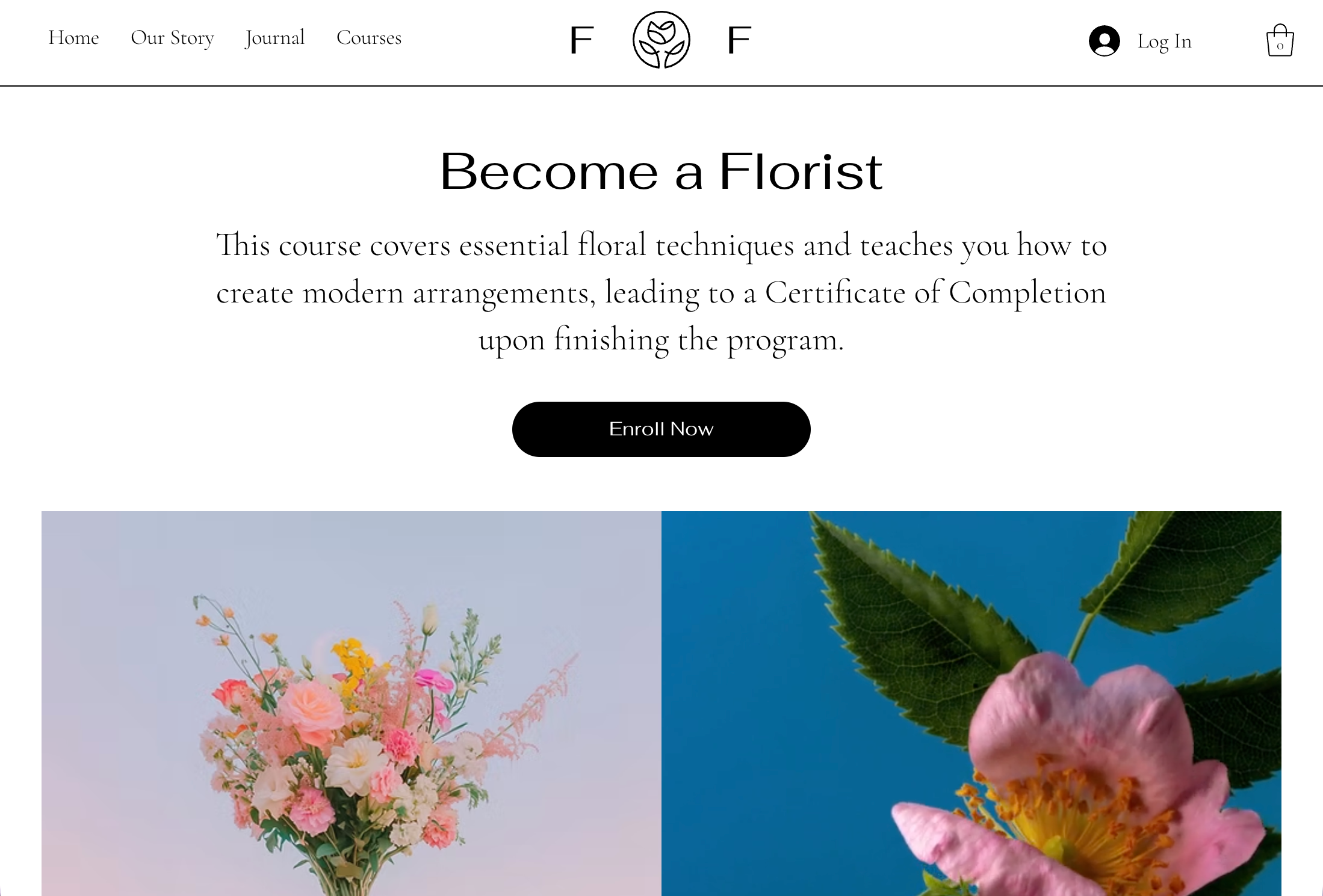 A custom landing page for online programs in a Wix site