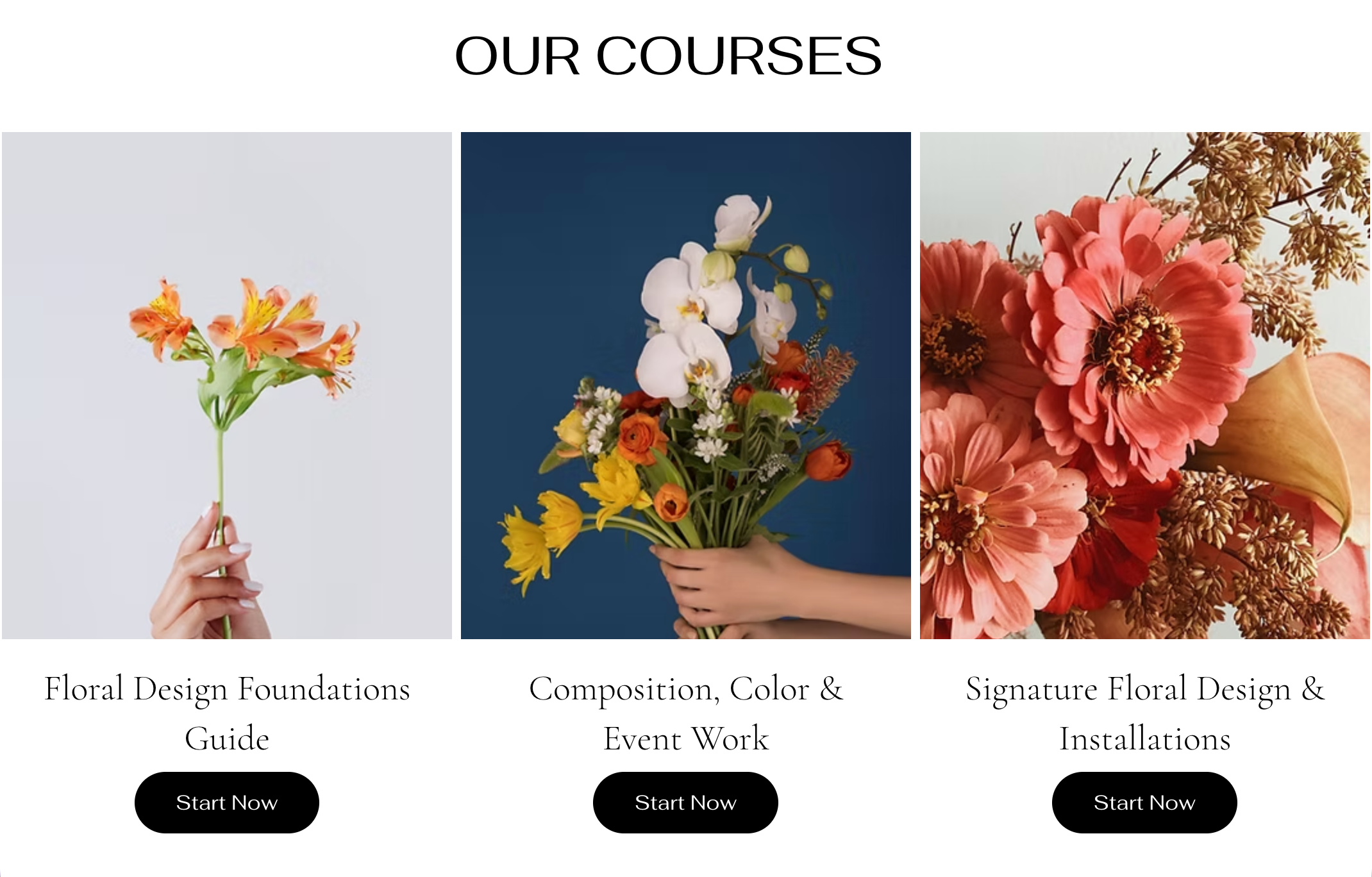 A custom landing page for online programs in a Wix site