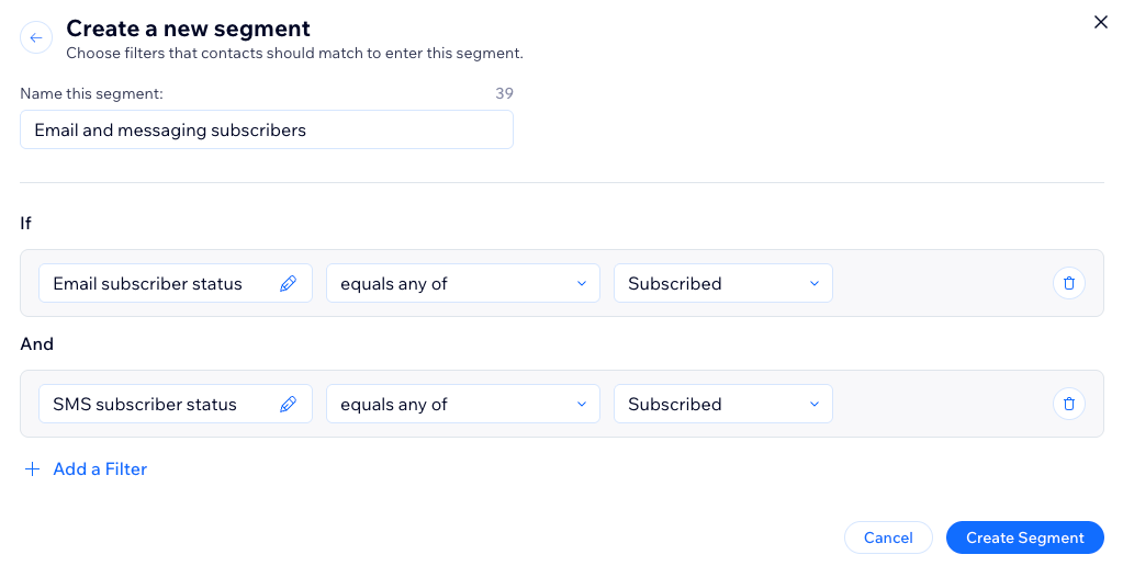A screenshot of creating a new segment.