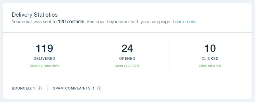 A screenshot of an email campaign's Delivery Statistics.