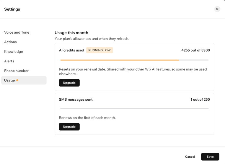 A screenshot showing the usage tab for AI credits.