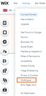Screenshot of Settings panel in the Editor with the Multilingual option highlighted.