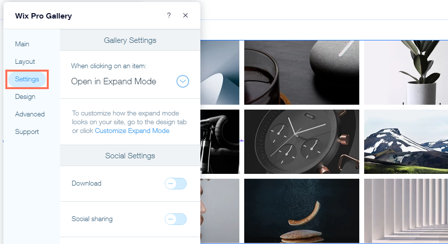 A screenshot of the Settings panel in the Wix Pro Gallery with the Settings tab highlighted.