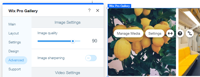 Screenshot of Advanced Settings tab of the Wix Pro Gallery.