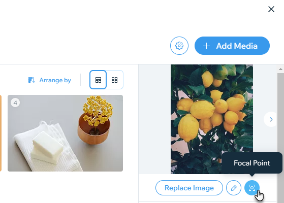 Screenshot of the Media Manager showing where to find the Focal Point icon.