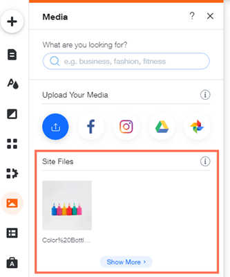 A screenshot showing the Show More button in the Site Files section.
