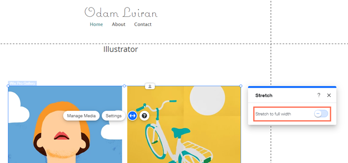 A screenshot highlighting the Stretch to full width toggle .