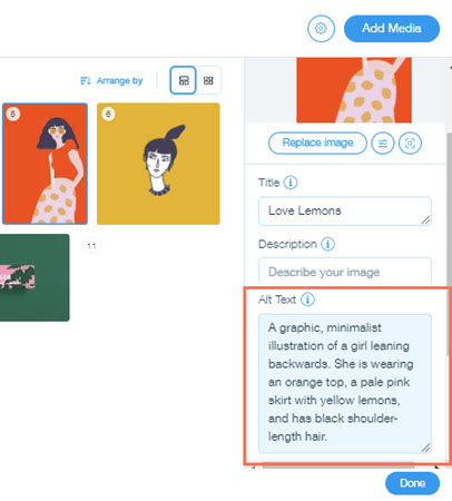 이미지의 대체 텍스트 입력란을 보여주는 미디어 관리자의 스크린샷