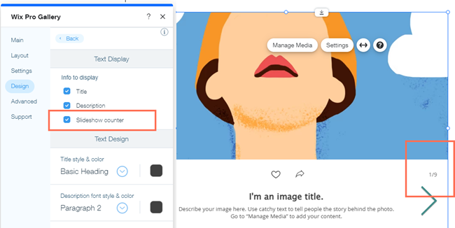 Screenshot showing the Slideshow counter highlighted in Text tab in the Design Section.
