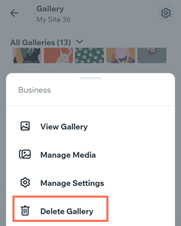 A screenshot showing you can delete a gallery