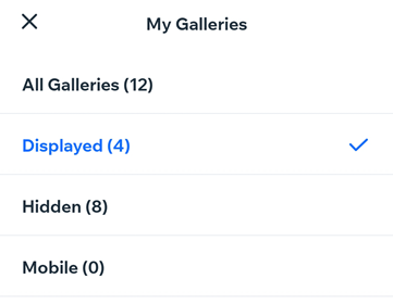 A screenshot showing you can view specific filters for galleries