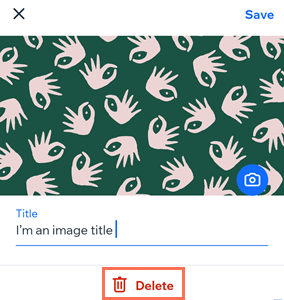 A screenshot showing how you can delete an image from your gallery