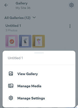 A screenshot showing that you can view and manage your galleries