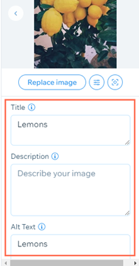 Screenshot showing Title, Description and Alt Text fields for gallery items in the Media Manager.