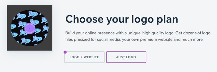 The Logo plan picker panel, displaying both the logo only, and logo and website options.