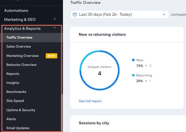 Screenshot della sezione Statistiche e report del Pannello di controllo