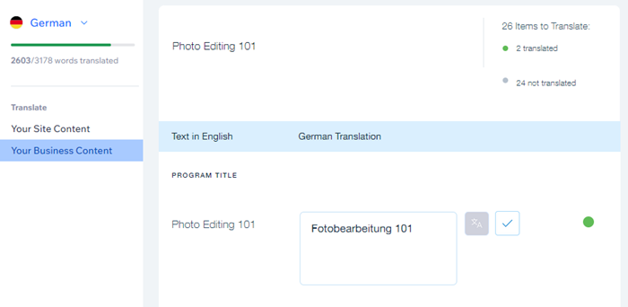 A screenshot of the Online Programs section of the Translation Manager.