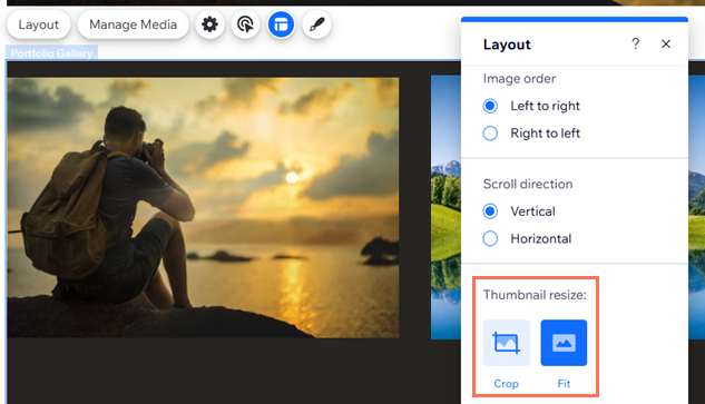 A screenshot with the thumbnail settings highlighted in the portfolio gallery.