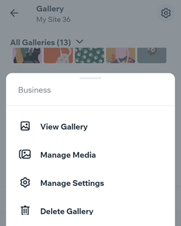 A screenshot of the options available for pro galleries in the mobile apps.