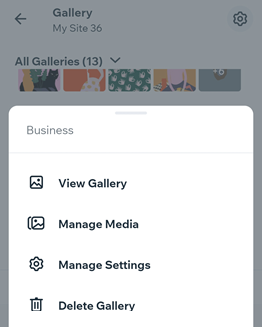 Screenshot delle opzioni disponibili per le Pro Gallery nelle app mobile