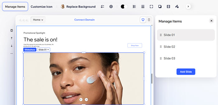 A screenshot showing the Manage Slides panel.