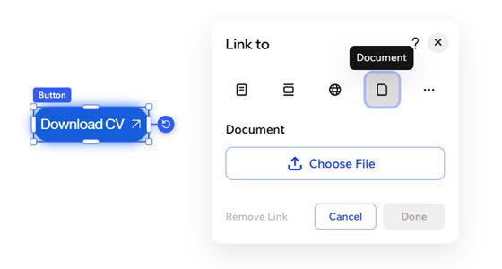 A screenshot of the Document option in the Link panel.