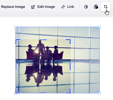 A screenshot of the cropping options available.