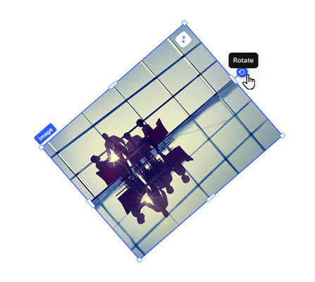 A screenshot of an image rotated.