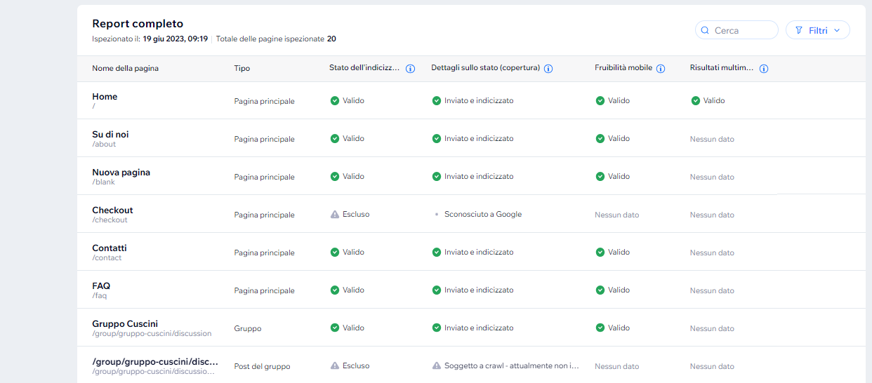 Screenshot della sezione Report completo dello strumento Ispezione del sito