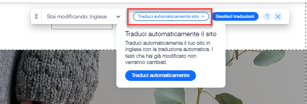 Screenshot che mostra l'opzione Traduci automaticamente sito