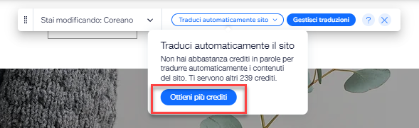 Screenshot che mostra l'opzione Ottieni più crediti