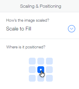 El panel de escala y posicionamiento para un fondo de franja en el Editor.